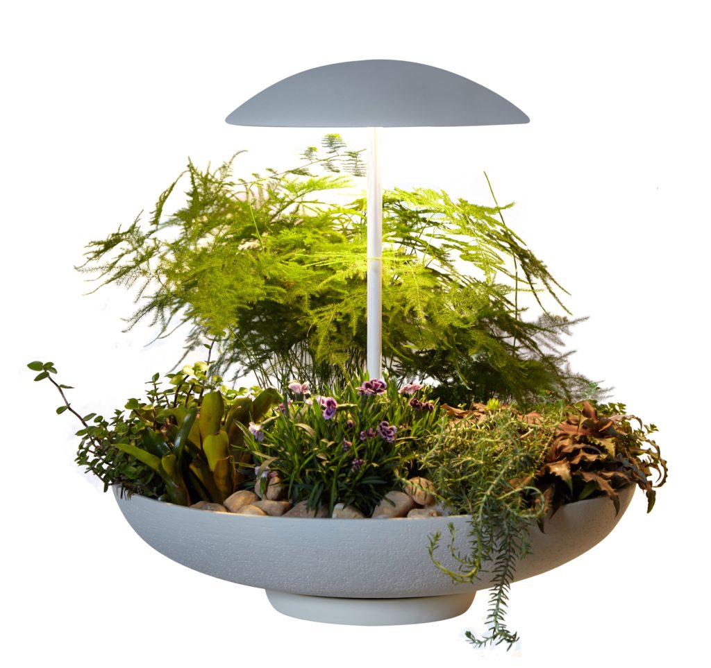 Jardín: la lámpara de mesa con mini jardín
